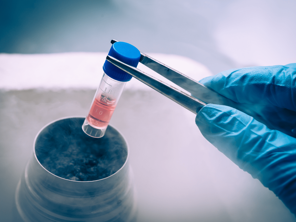 Stem Cell Therapy, what it is
